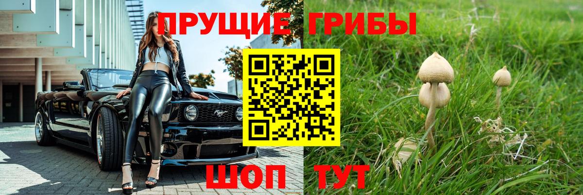 Галлюциногенные грибы MAGIC MUSHROOMS  купить   Саров  Вход с VPN 